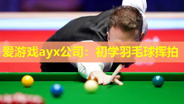 爱游戏ayx公司：初学羽毛球挥拍