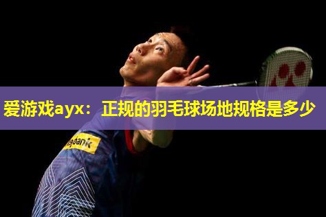 爱游戏ayx：正规的羽毛球场地规格是多少