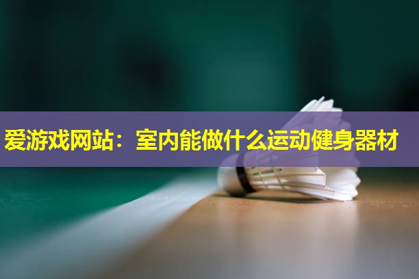 室内能做什么运动健身器材 室内能做什么运动健身器材