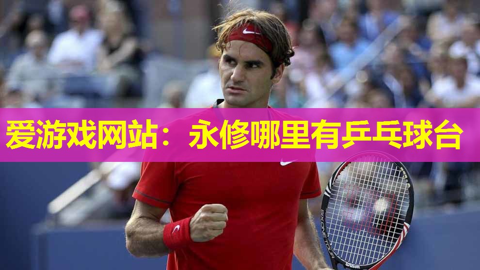 永修哪里有乒乓球台 永修哪里有乒乓球台