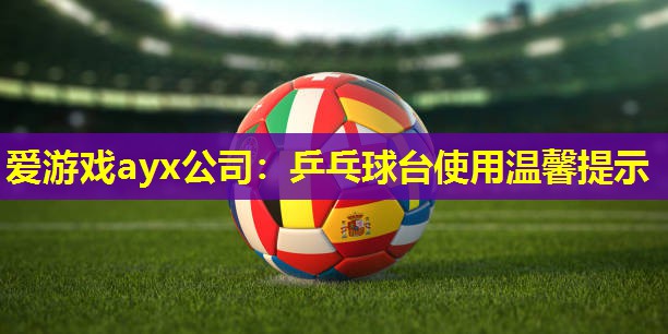 乒乓球台使用温馨提示