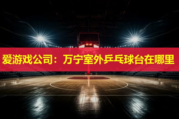 万宁室外乒乓球台在哪里