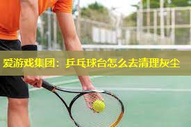 乒乓球台怎么去清理灰尘 乒乓球台怎么去清理灰尘