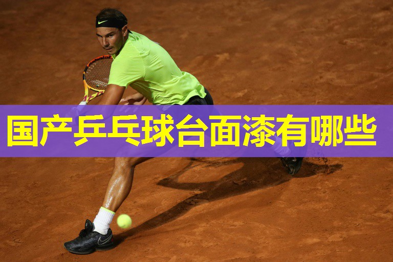 国产乒乓球台面漆有哪些 国产乒乓球台面漆有哪些