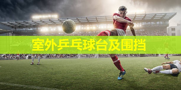 室外乒乓球台及围挡 室外乒乓球台及围挡