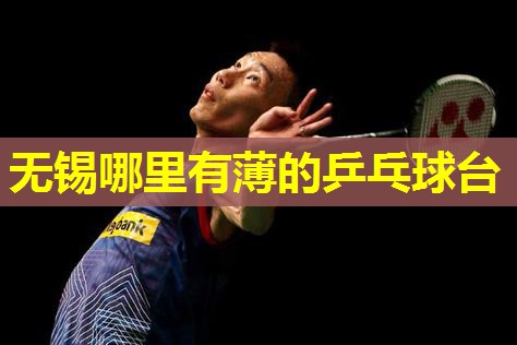 无锡哪里有薄的乒乓球台 无锡哪里有薄的乒乓球台