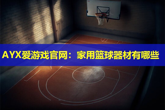家用篮球器材有哪些 家用篮球器材有哪些