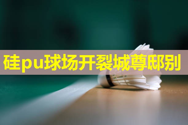 硅pu球场开裂城尊邸别 硅pu球场开裂城尊邸别