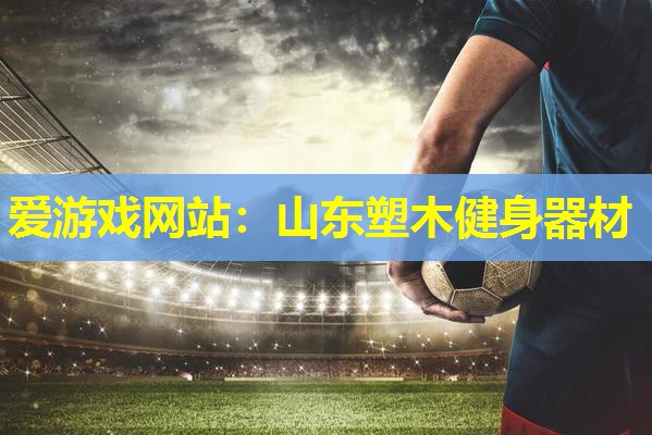 山东塑木健身器材 山东塑木健身器材