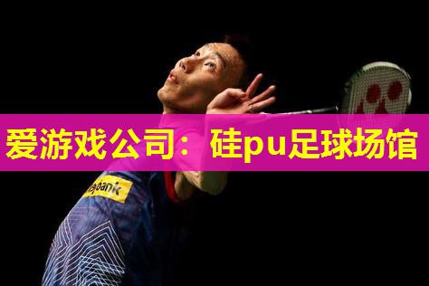 硅pu足球场馆 硅pu足球场馆