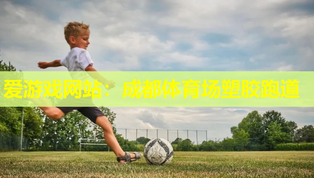 成都体育场塑胶跑道 成都体育场塑胶跑道