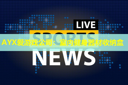 室内健身器材收纳盒 室内健身器材收纳盒