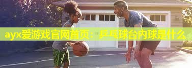 乒乓球台内球是什么 乒乓球台内球是什么