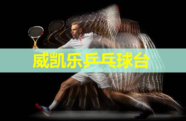 威凯乐乒乓球台 威凯乐乒乓球台