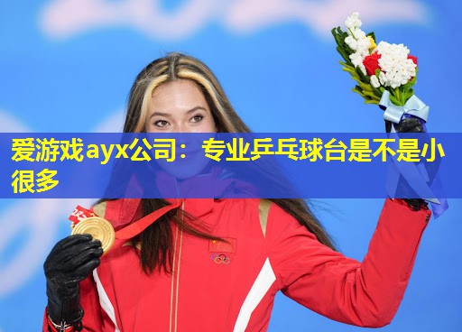 专业乒乓球台是不是小很多 专业乒乓球台是不是小很多