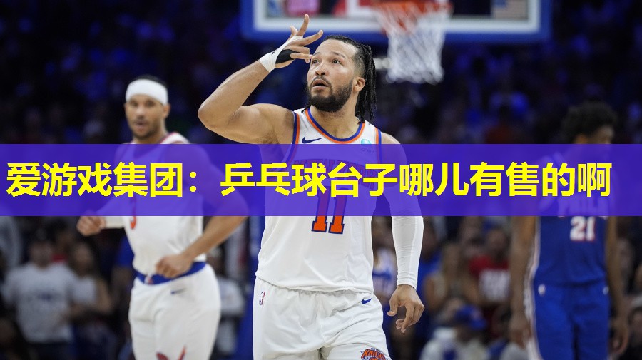 乒乓球台子哪儿有售的啊 乒乓球台子哪儿有售的啊