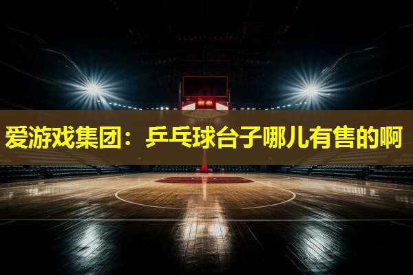 乒乓球台子哪儿有售的啊 乒乓球台子哪儿有售的啊