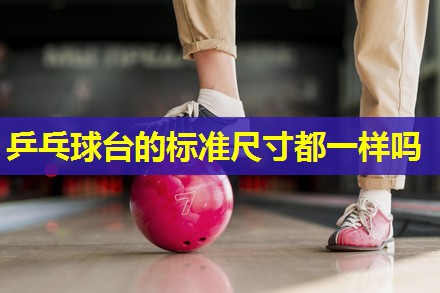 乒乓球台的标准尺寸都一样吗 乒乓球台的标准尺寸都一样吗