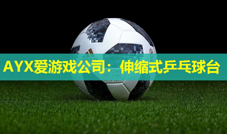 伸缩式乒乓球台 伸缩式乒乓球台
