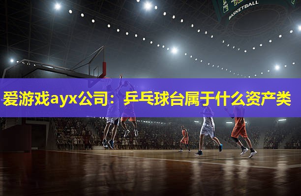 乒乓球台属于什么资产类 乒乓球台属于什么资产类