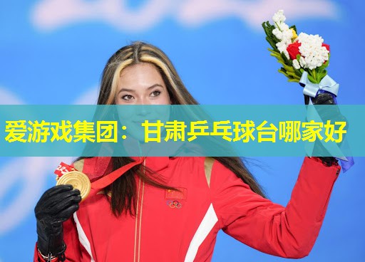 甘肃乒乓球台哪家好 甘肃乒乓球台哪家好