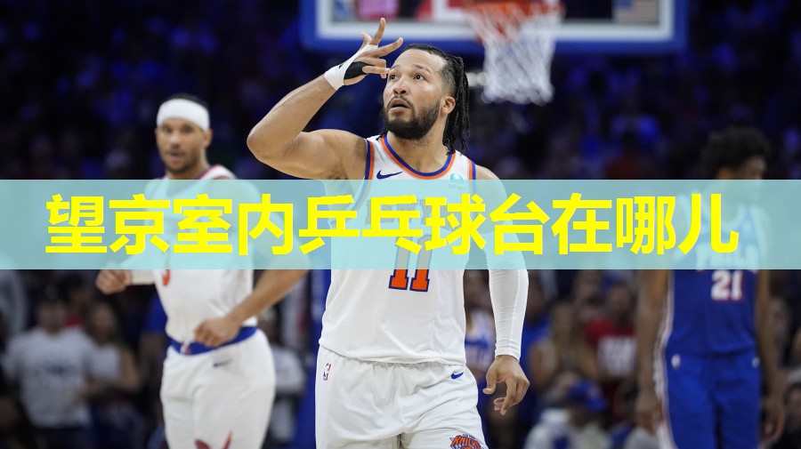 望京室内乒乓球台在哪儿 望京室内乒乓球台在哪儿