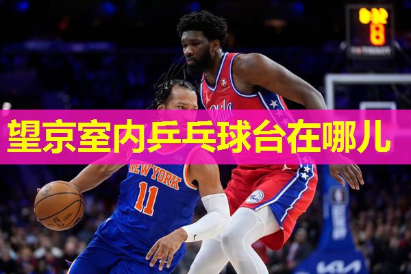 望京室内乒乓球台在哪儿 望京室内乒乓球台在哪儿