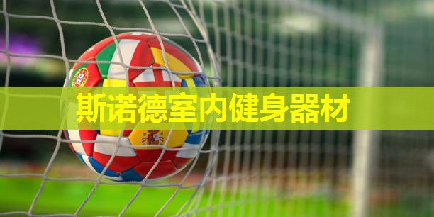 斯诺德室内健身器材 斯诺德室内健身器材