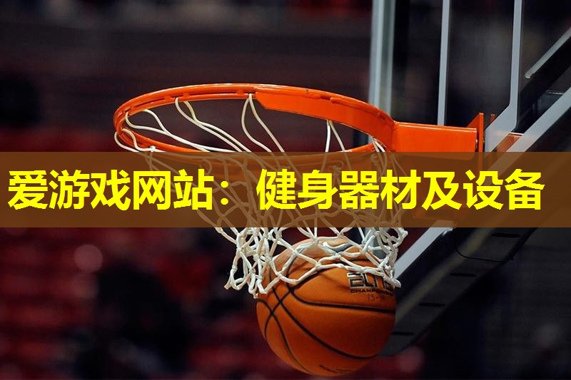 健身器材及设备 健身器材及设备