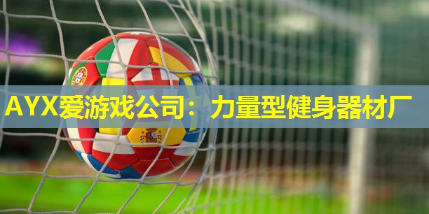 力量型健身器材厂 力量型健身器材厂