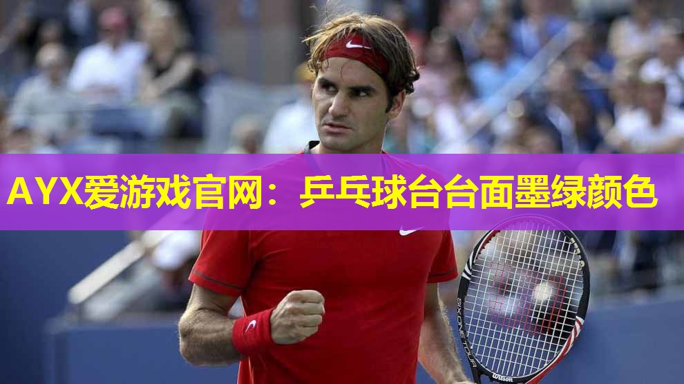 乒乓球台台面墨绿颜色 乒乓球台台面墨绿颜色