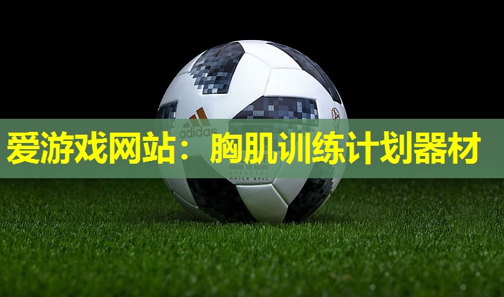 胸肌训练计划器材 胸肌训练计划器材