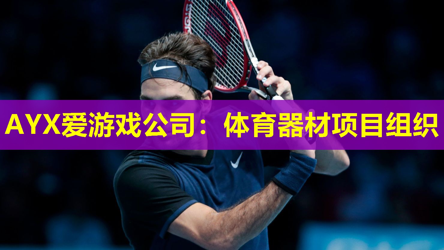 体育器材项目组织 体育器材项目组织