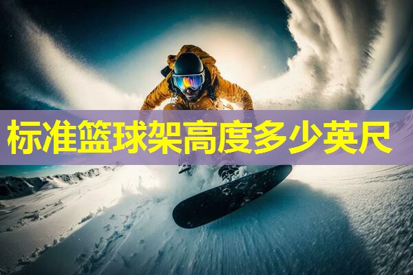 标准篮球架高度多少英尺 标准篮球架高度多少英尺
