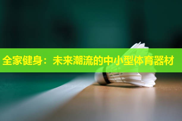 全家健身:未来潮流的中小型体育器材 全家健身:未来潮流的中小型体育器材