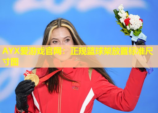 正规篮球架放置标准尺寸图 正规篮球架放置标准尺寸图