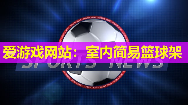 室内简易篮球架 室内简易篮球架