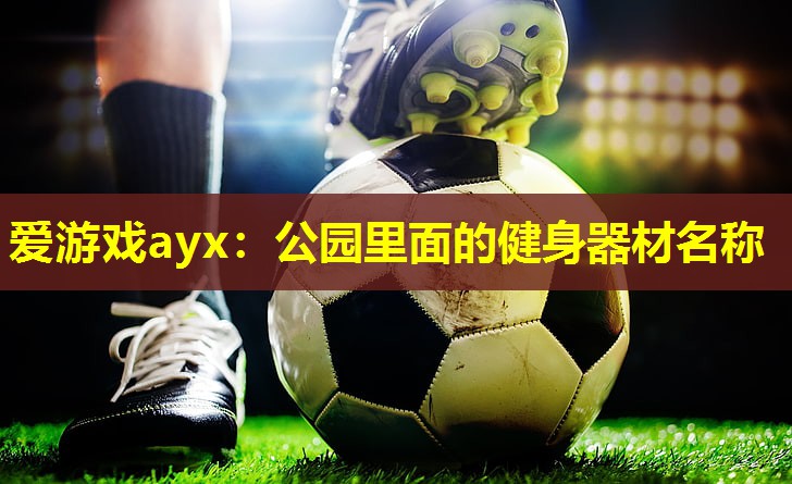 公园里面的健身器材名称 公园里面的健身器材名称