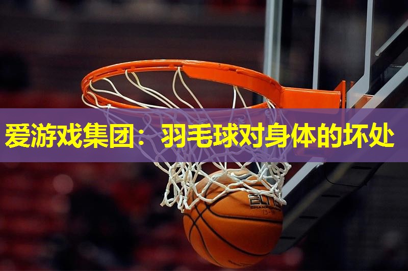 羽毛球对身体的坏处 羽毛球对身体的坏处